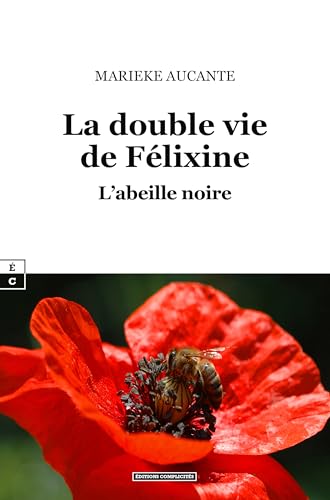 La double vie de Félixine