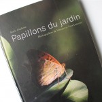 PAPILLONS DU JARDIN