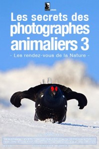 le-secret-des-photographes-animaliers-3